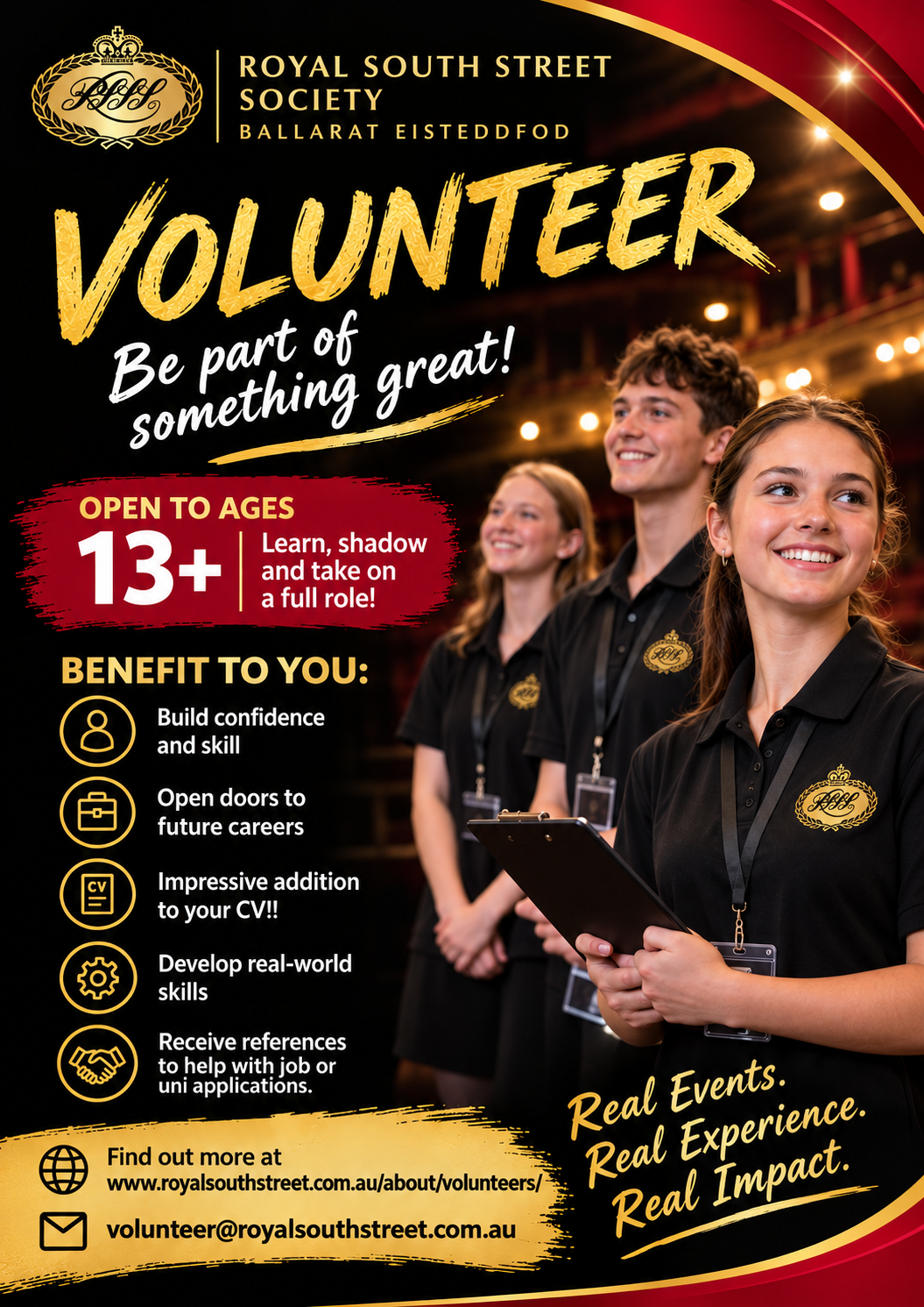 Volunteer Promo Poster Youth