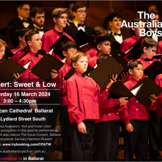 Australian Boys Choir Image