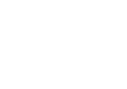 Bnt White Logo